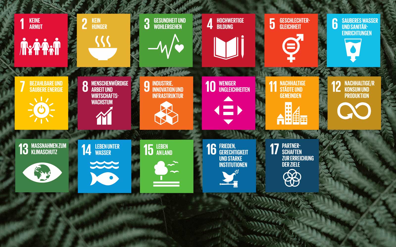 ODS Agenda 2030